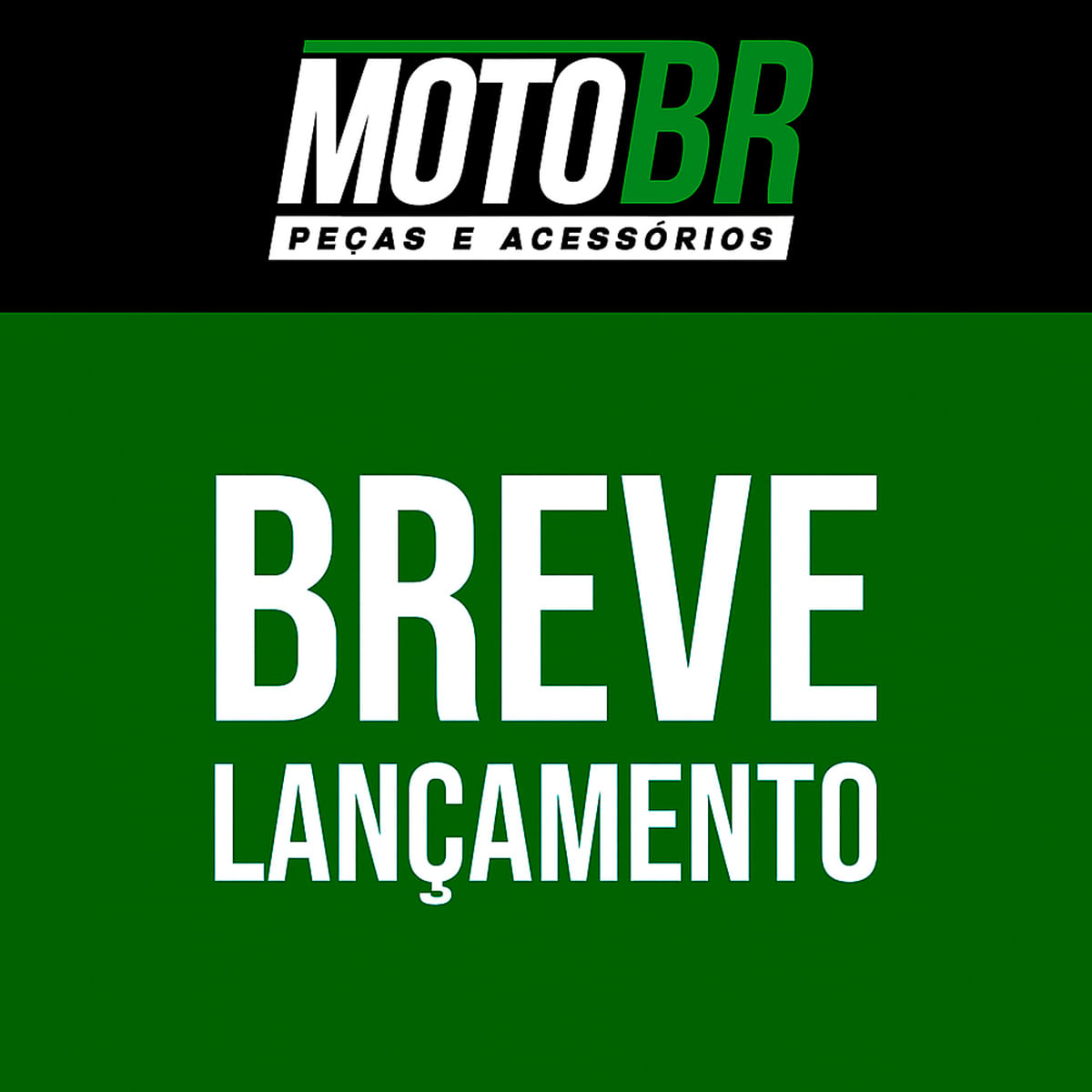 Mochila Sport Moto BR Com Capa Chuva Verde